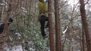 １月の安全パトロール